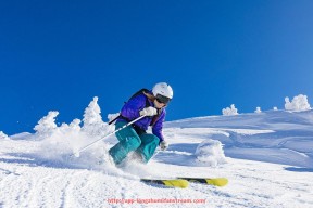 龙珠直播-世俱杯比赛场馆信息总览:球场环境对比赛有何影响?