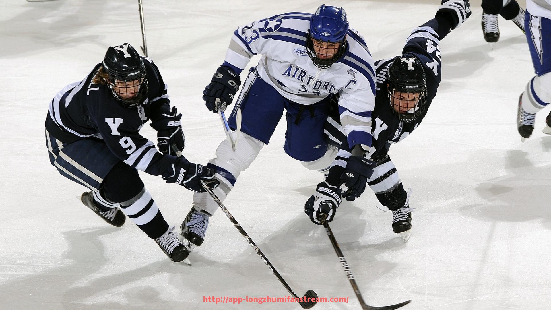 龙珠直播-健身器材爬山机图片展示及体育效果说明